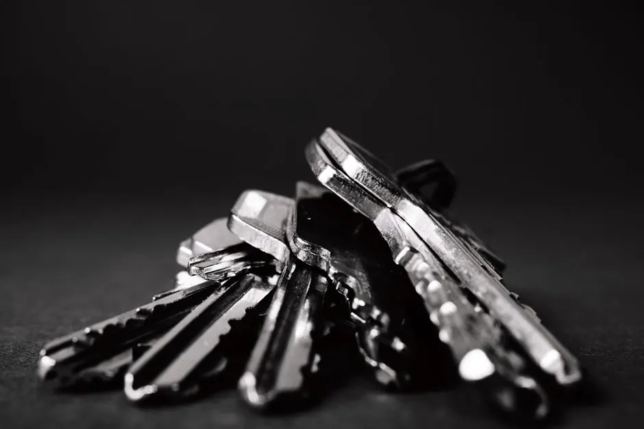 Expertise in Master Key Systems